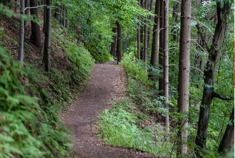 Wandern