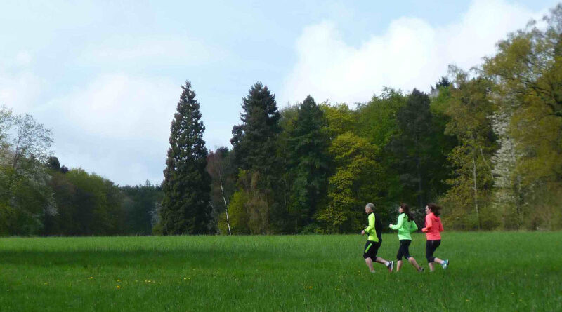 28.04.2024 Skiwiesenlauf