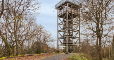 Anmeldung: Wanderung des TSV am 26.03.23