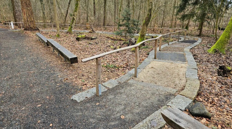 Wanderung Anmelden: Kurzwanderung zum Barfußpfad ⛰️ mit Waldbaden!